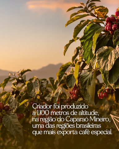 Criador coffee launch carousel, slide 2