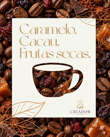 Criador post: a cup cut out of a flavour-notes collage